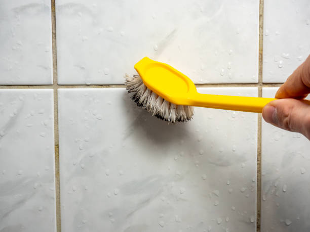 Best Home Mold Removal  in Sauk Centre, MN