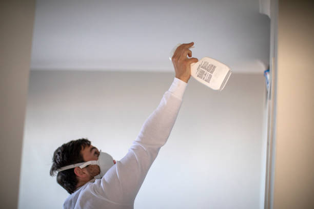 Best Residential Mold Removal  in Sauk Centre, MN