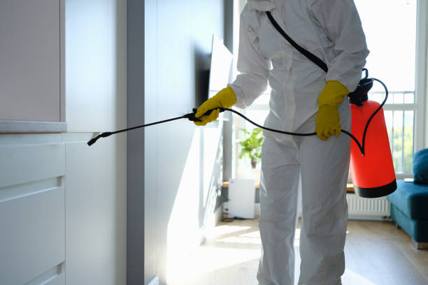 Best Toxic Mold Removal  in Sauk Centre, MN