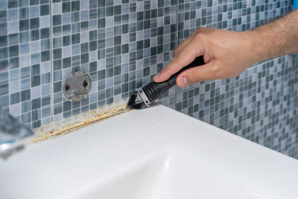 Best Certified Mold Removal  in Sauk Centre, MN